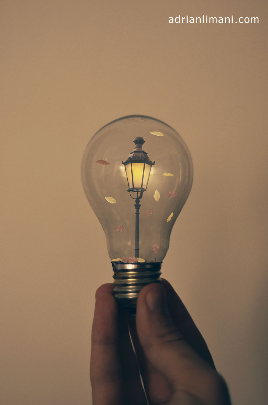 life inside a light bulb 
