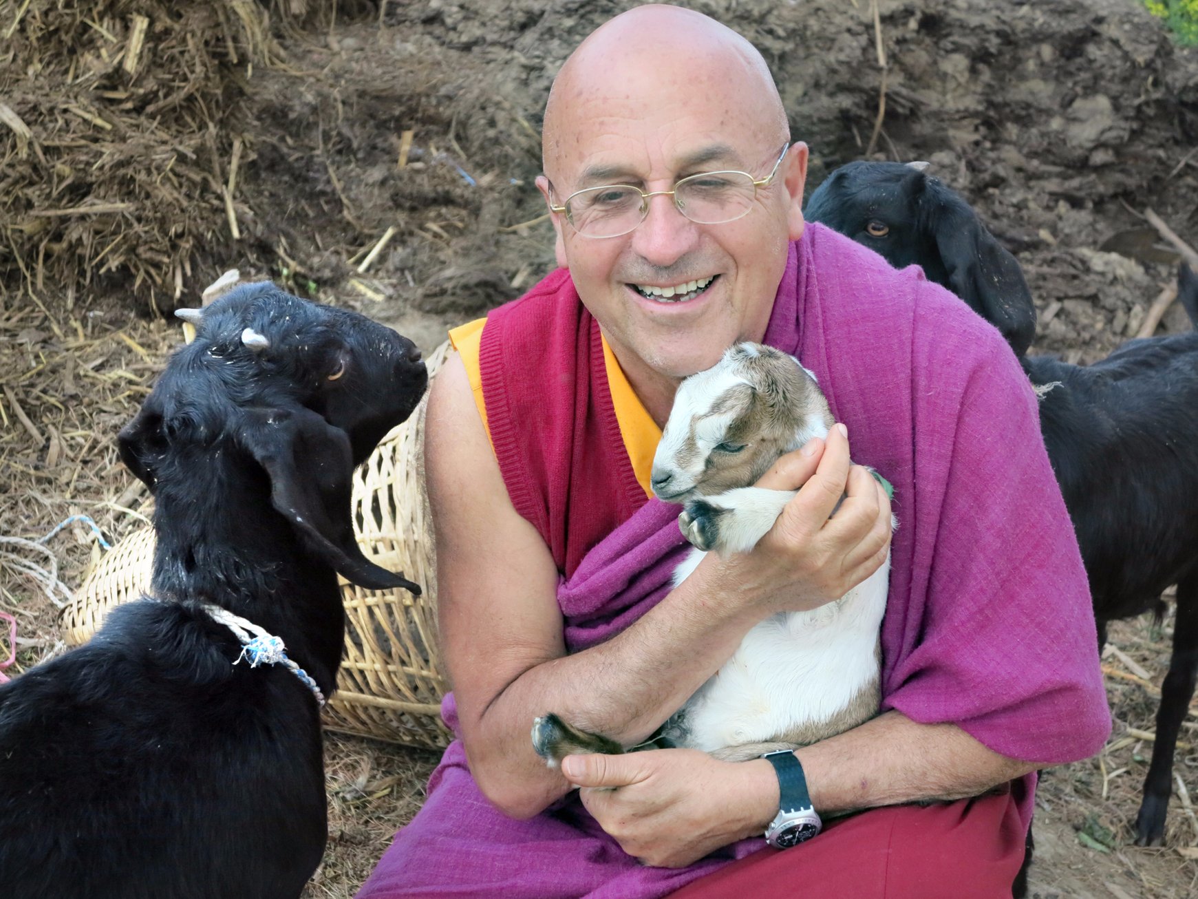 6 điều nhà sư Tây Tạng được mệnh danh ‘người hạnh phúc nhất thế giới’ tâm đắc để sống viên mãn 1