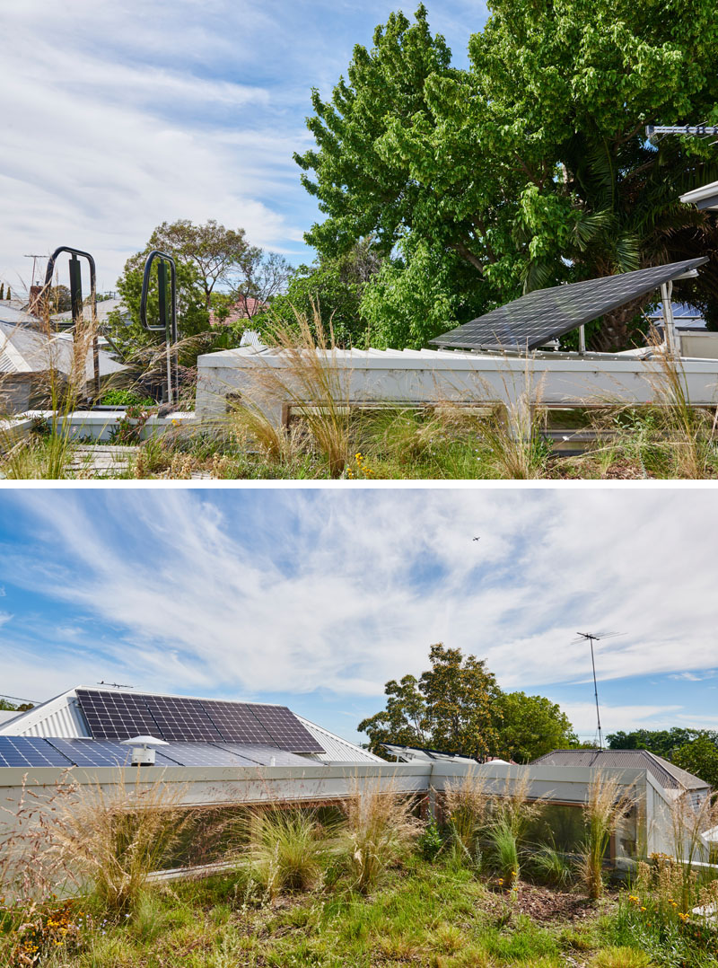 Mái nhà của ngôi nhà thân thiện với môi trường này có những tấm pin năng lượng mặt trời và cây cảnh để chống nóng