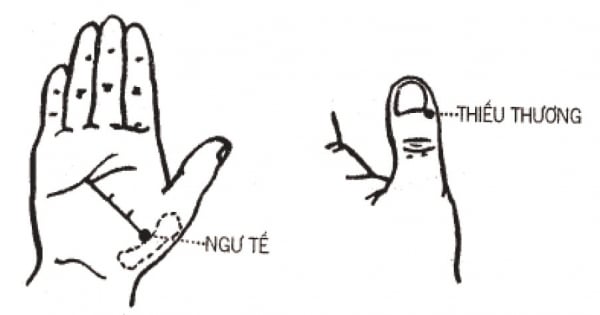 Vị trí huyệt Thiếu Thương ở chân móng của ngón tay cái. (Hình: Nguồn Internet).