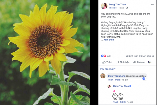   Hoa hậu Đặng Thu Thảo đăng tải hình ảnh hoa hướng dương với thông điệp ủng hộ bệnh nhi ung thư  