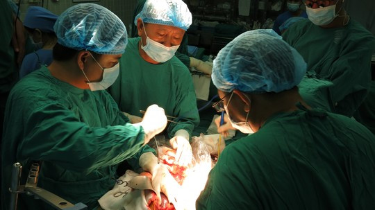   Các bác sĩ phẫu thuật lấy tạng  