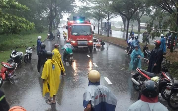 TP HCM: Ra đường giữa trời mưa bão, người đàn ông bị cây bật gốc đè chết 2