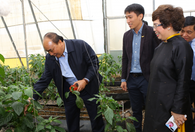   Thủ tướng Chính phủ Nguyễn Xuân Phúc thăm vườn cây trái của công ty TH.  