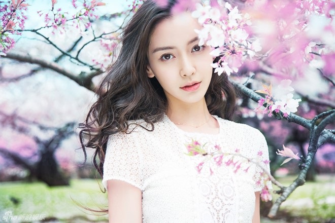 tu vi hang ngay 12 con giap giadinhvietnam