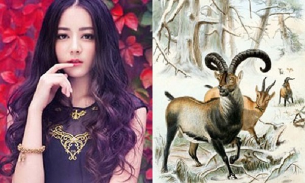 tu vi hang ngay 12 con giap giadinhvietnam (16)