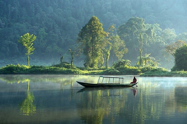 su binh yen Giadinhvietnam