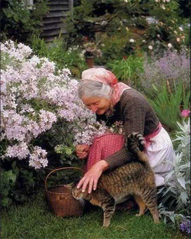 Ngoi nha dep nhu truyen co tich cua cu ba 92 tuoi o My 9 Giadinhvietnam