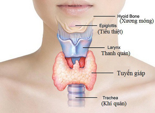 5 van de suc khoe nghiem trong o phu nu can luu y 3 Giadinhvietnam