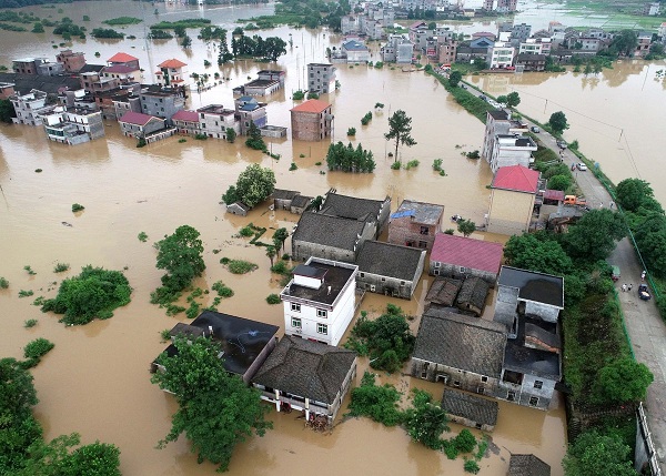 phong chong lu lut Giadinhvietnam (1)