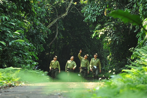 rung cuc phuong Giadinhvietnam (1)