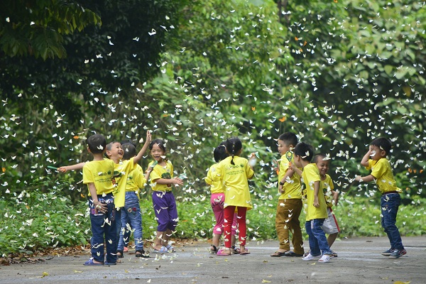 rung cuc phuong Giadinhvietnam (3)