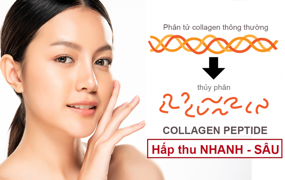 collagen-sac-ngoc-khang-3