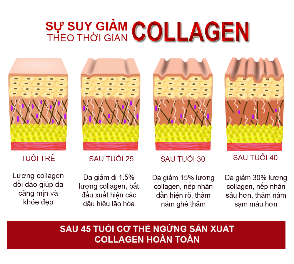 collagen-sac-ngoc-khang-4