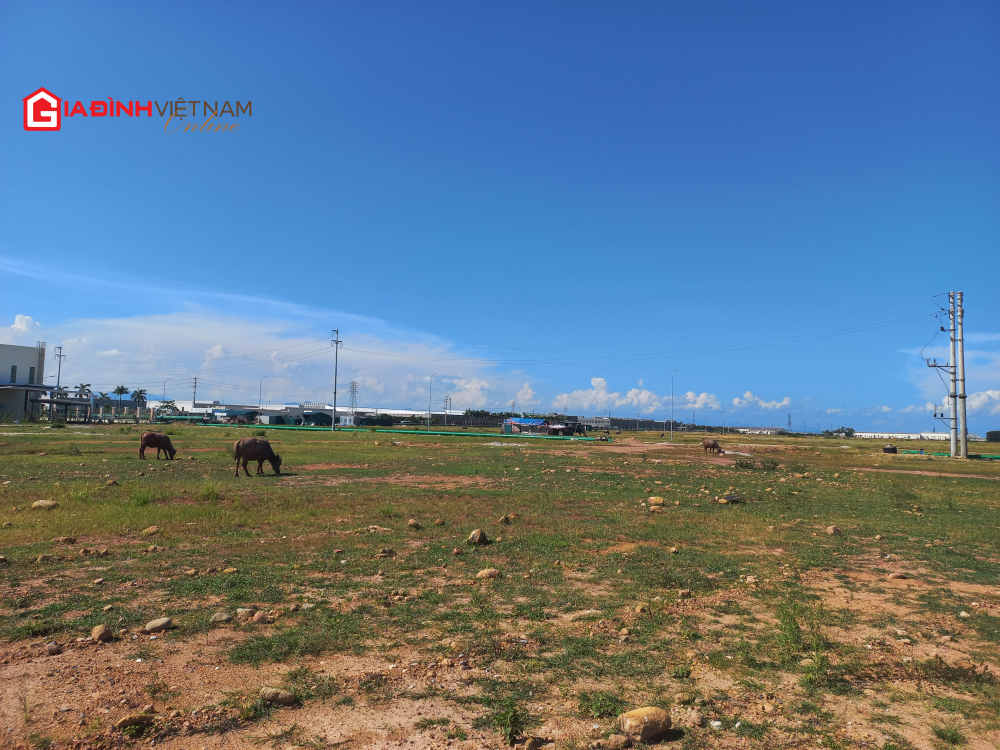 quang ninh 3