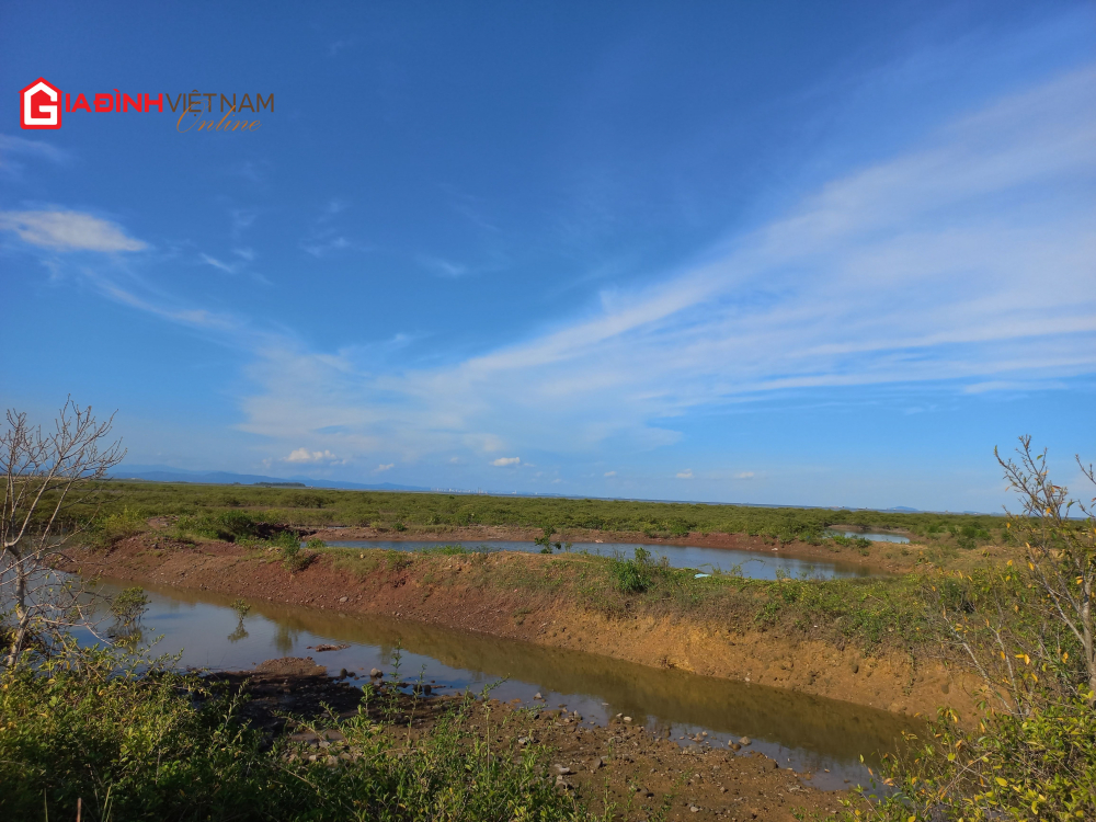 quang ninh 9