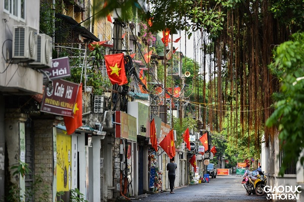 co hoa (2)