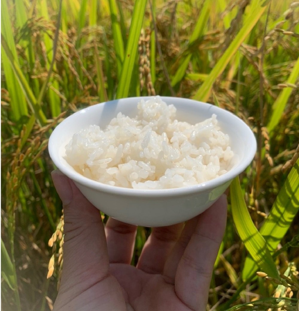 Huong-rung04