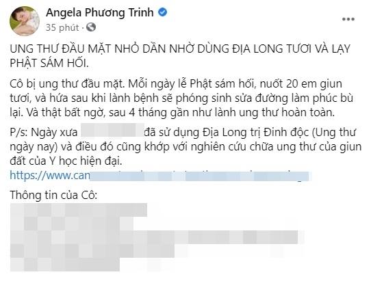 angela phuong trinh (1)