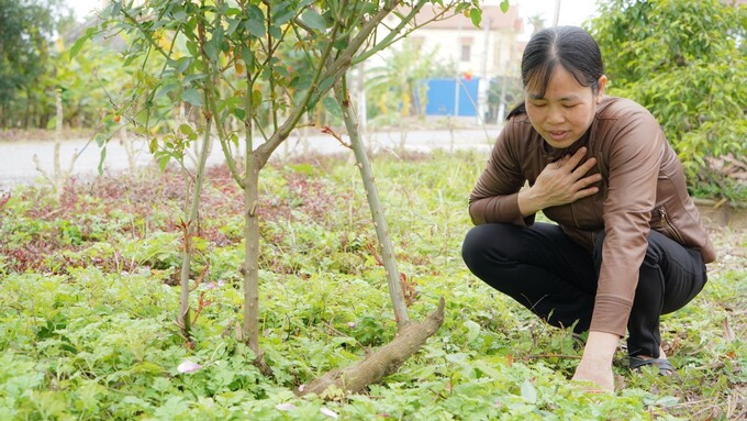 Mạch Vành WinWin