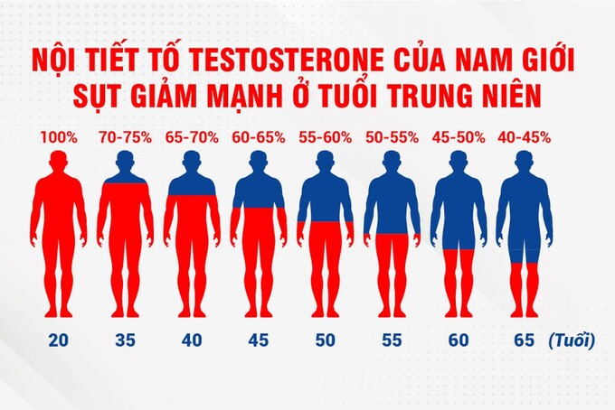 bieu-do-testosterone-theo-do-tuoi-o-nam-gioi