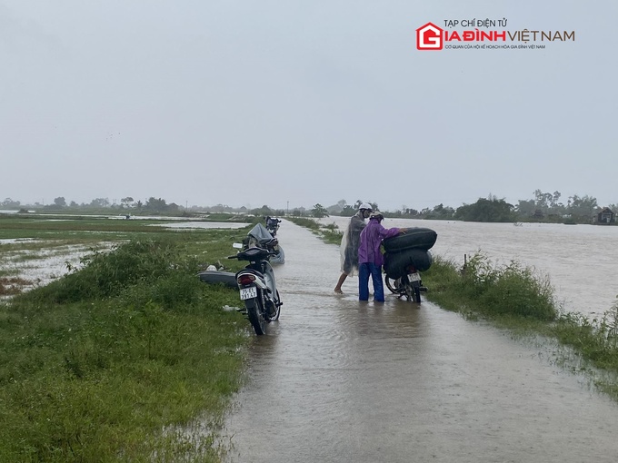 Nông dân Thừa Thiên Huế lội mưa thu hoạch rau màu bị chìm trong lũ