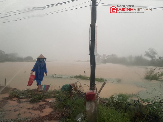 Nông dân Thừa Thiên Huế lội mưa thu hoạch rau màu bị chìm trong lũ