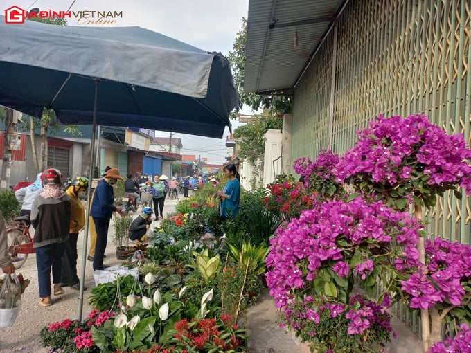 Nét độc đáo của phiên chợ quê hàng trăm năm tuổi