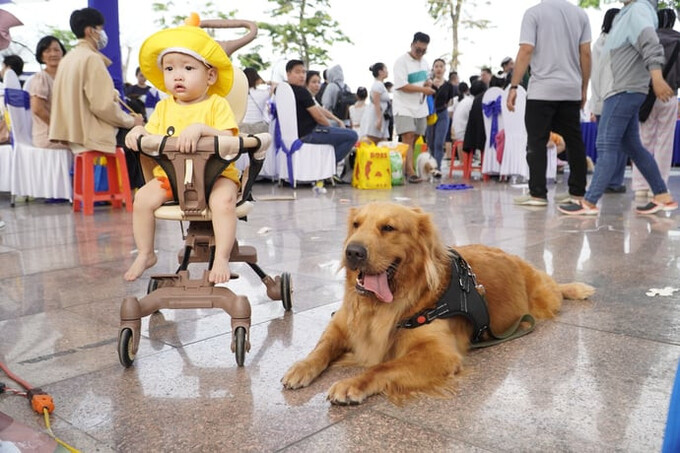 Kết nối tình thân gia đình nhờ Festival thú cưng ĐBSCL