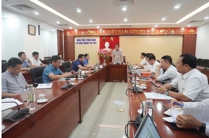 Quảng Ninh thu hút nhiều nhà đầu tư sau Hội nghị nuôi biển