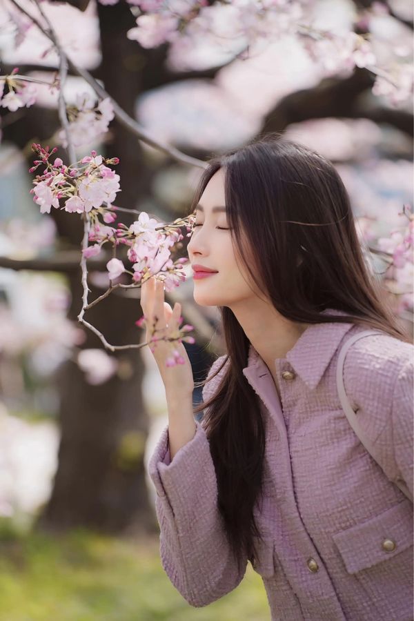 Mỹ nhân Việt sang Nhật ngắm hoa anh đào: Người như nữ sinh, người diện “cây” hiệu vài trăm triệu