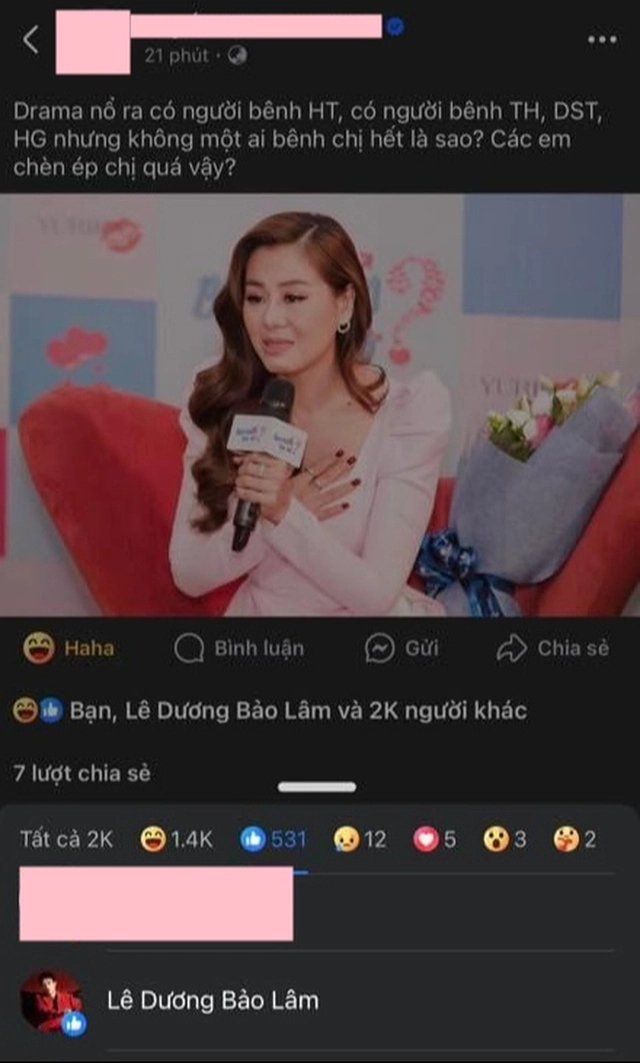 Lê Dương Bảo Lâm giải thích lý do thích bài mỉa mai Nam Thư