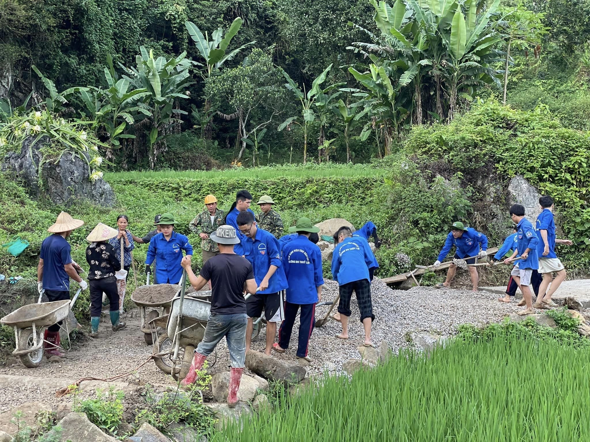 Những người trẻ tình nguyện mang cuộc sống xanh lên vùng cao