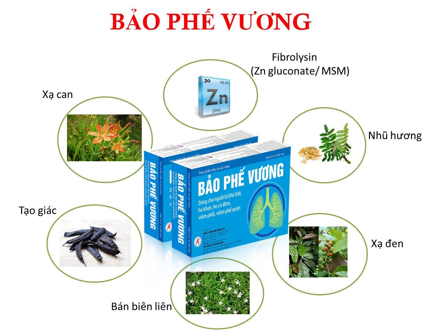 Bí quyết cải thiện viêm phế quản mạn tính từ thảo dược