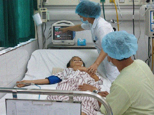 moi-vu-viem-nao-nhat-ban-co-den-gan-600-ca-benh--giadinhonline.vn 1