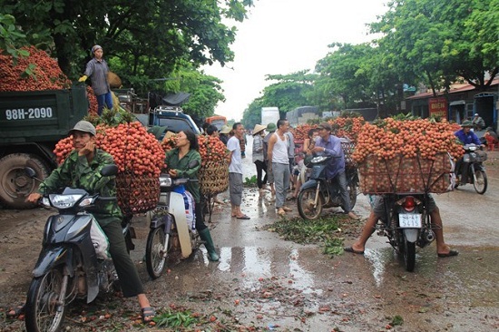 khong-ban-lẻ-an-thoai-mai-cho-mang-ve-giadinhonline.vn 1