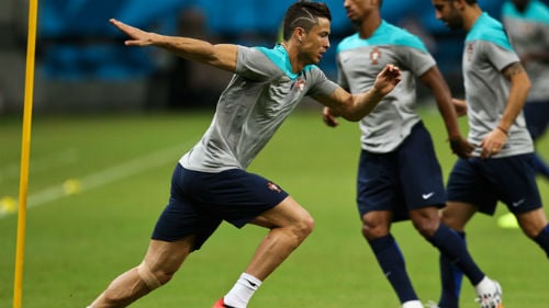 can-canh-qua-dau-moi-cua-cristiano-ronaldo-giadinhonline.vn 7