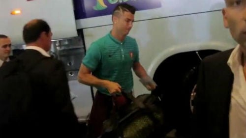 can-canh-qua-dau-moi-cua-cristiano-ronaldo-giadinhonline.vn 10