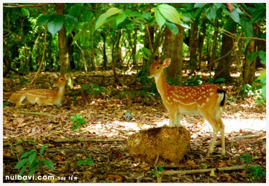 nhung-diem-vui-choi-ha-noi-cho-ngay-gia-dinh-viet-nam-giadinhonline.vn 5