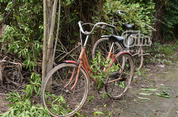 ca-si-le-roi-can-canh-cuoc-song-doi-thuong--giadinhonline.vn 5