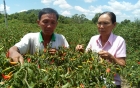 chuyen-nguoi-vo-canh-sat-bien-cham-bo-me-chong-benh-nang-giadinhonline.vn 7