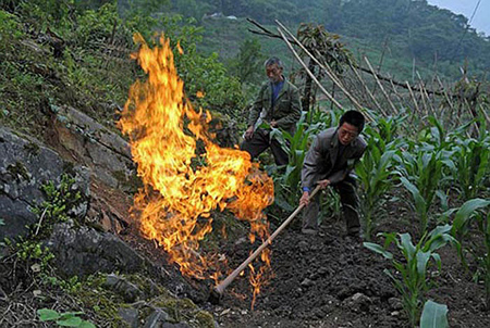 ngoi-lang-cham-mot-dieu-thuoc-cung-co-the-gay-hoa-hoan-giadinhonline.vn 5