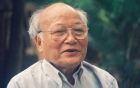 an-gi-tren-may-bay-gia-bao-nhieu-giadinhonline.vn 5