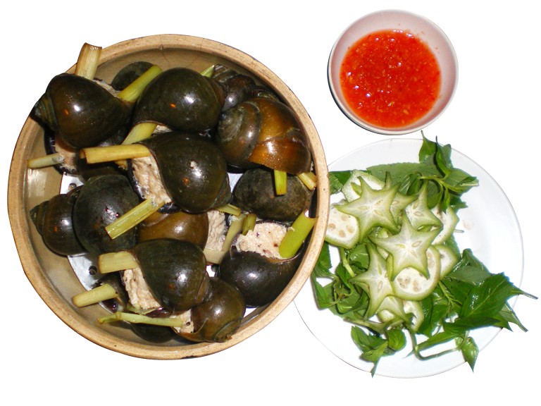 oc-nhoi-–-mon-an-ngon-vi-thuoc-tot-giadinhonline.vn 1