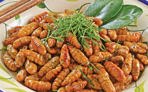 4-dieu-cam-khi-dung-au-trung-con-trung-lam-thuc-an-giadinhonline.vn 1