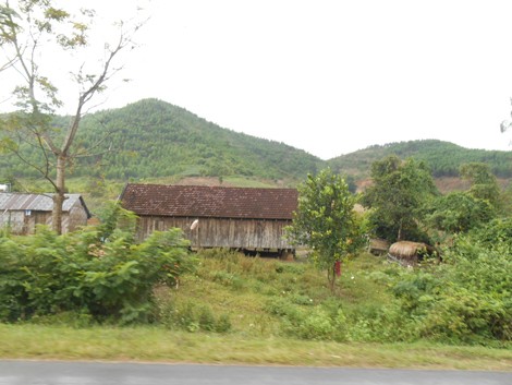 bo-toc-bat-dan-ong-ve-lam-chong-tai-viet-nam-giadinhonline.vn 1