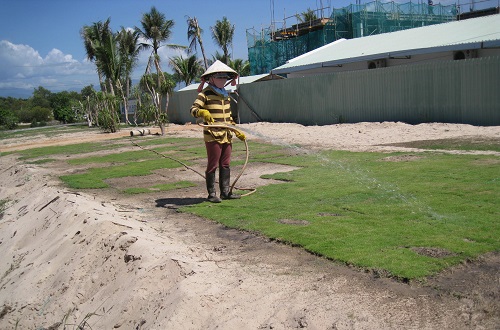 ngam-mat-moc-khu-nghi-duong-riviera-resort-amp-spa-giadinhonline.vn 9