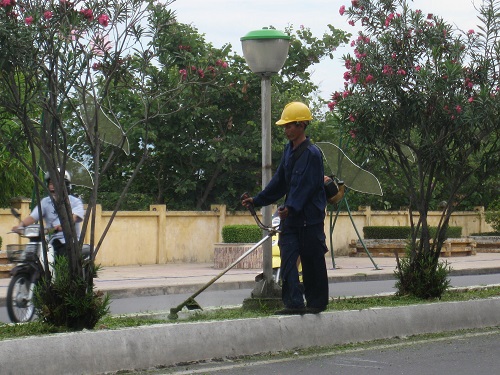 nha-trang-dep-mong-mo-duoi-nhung-tan-phi-lao-giadinhonline.vn 13