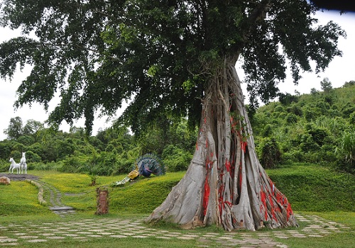 yang-bay-du-ky-2-moc-than-linh-ung-giadinhonline.vn 6