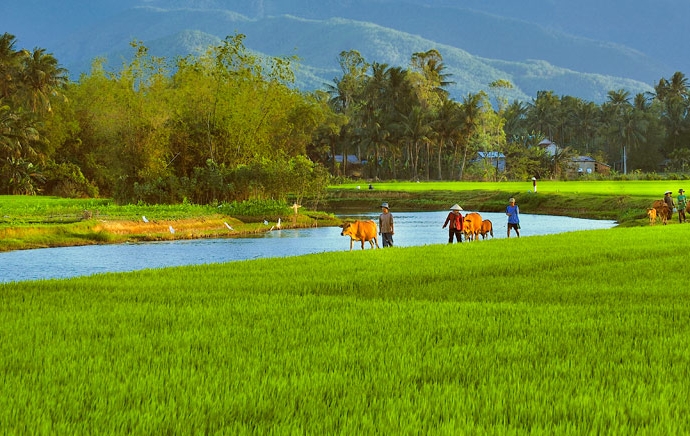 viet-nam-dat-nuoc-cua-nhung-dong-song-giadinhonline.vn 2